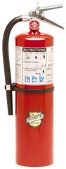 Buckeye Fire - 10 Lb, 4-A:80B:C Rated, Dry Chemical Fire Extinguisher - USA Tool & Supply