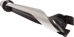 Allied Machine and Engineering - Series 32, 32 to 35mm Diam, 40mm Diam Straight Shank with Flange, Straight Flute Spade Drill - 244.9mm Max Depth, 297.7mm Body Length, 367.7mm OAL, Standard Length, Through Coolant - USA Tool & Supply