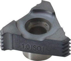 Carmex - C181.00 Grade MT7, Internal ISO Threading Insert - 10mm Int Pitch, TiAlN Finish - USA Tool & Supply