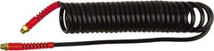 PRO-SOURCE - 1/4" ID, 1/4 Thread, 5' Long, Black Polyurethane Coiled & Self Storing Hose - 145 Max psi, Male Swivel x Male Swivel - USA Tool & Supply