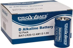 PRO-SAFE - Size D, Alkaline, Standard Battery - 1.5 Volts, Flat Terminal, LR20 - USA Tool & Supply