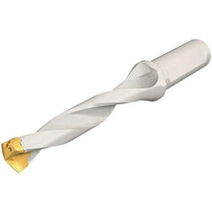 Iscar - 17 to 17.9mm Diam, 5xD, 85mm Max Depth, 20mm Shank Diam, 160.2mm OAL, Replaceable Tip Drill - IDK, IDM, IDN, IDP Insert, 17 Seat Size, DSM Toolholder, Series ChamDrillJet - USA Tool & Supply