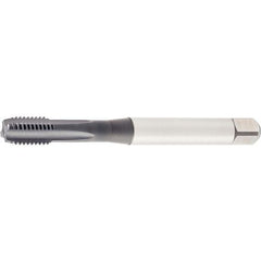 GT425003 M8X1.25 6HX STFL BOTT 371 - Exact Industrial Supply