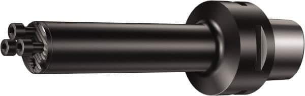 Sandvik Coromant - C6;60 System Size, Modular Tool Holding System Adapter - 287mm Projection, 60mm Body Diam, 325.33mm OAL, Through Coolant - Exact Industrial Supply