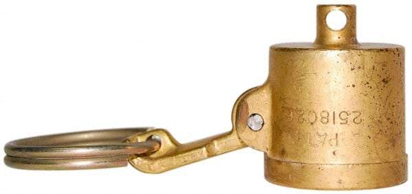 EVER-TITE Coupling Products - 3" Brass Cam & Groove Suction & Discharge Hose Dust Cap For Use with Adapters - Part DC, 250 Max psi - USA Tool & Supply