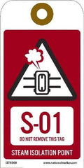 NMC - 6" High x 3" Long, S - 01 THRU S - 10 DO NOT REMOVE THIS TAG STEAM ISOLATION POINT, English Safety & Facility Energy Isolation Tag - 1 Side, Red Unrippable Vinyl - USA Tool & Supply