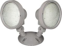Philips - Emergency Lights Emergency Light Type: Remote Lighting Head Number of Heads: 2 - USA Tool & Supply