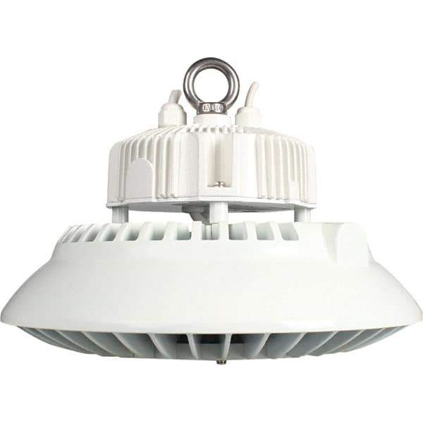 Eiko Global - 1 Lamp, 100 Watts, LED, High Bay Fixture - 11.81" Wide, 120-277 Volt, Steel Housing - USA Tool & Supply