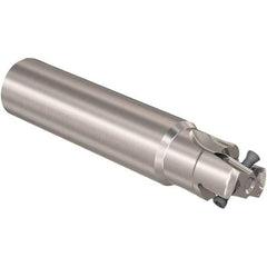 Seco - 25mm Cut Diam, 12mm Max Depth of Cut, 25mm Shank Diam, 170mm OAL, Indexable Square Shoulder Slot Milling End Mill - LOEX12 Inserts, Straight Shank, 90° Lead Angle, Through Coolant, Series 217.94-12 - USA Tool & Supply