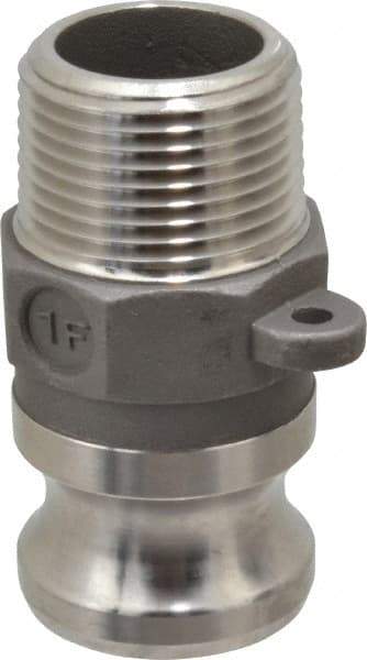 EVER-TITE Coupling Products - 1" Stainless Steel Cam & Groove Suction & Discharge Hose Male Adapter Male NPT Thread - Part F, 1" Thread, 250 Max psi - USA Tool & Supply