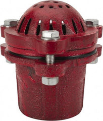 Value Collection - 2" Hose, Foot Valve - Cast Iron - USA Tool & Supply