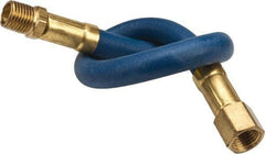 Coilhose Pneumatics - 1/4" ID 1' Long Lead-In Whip Hose - FNPT x MNPT Swivel Ends, 200 Working psi, -40 to 212°F, 1/4" Fitting, - USA Tool & Supply