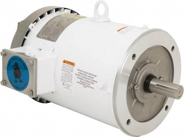 Leeson - 3 Max hp, 1,800 Max RPM, Premium Efficient Electric AC DC Motor - 230/460 V Input, Three Phase, 182TC Frame, 1-1/8" Shaft Diam, C-Face Mount, TEFC Enclosure - USA Tool & Supply