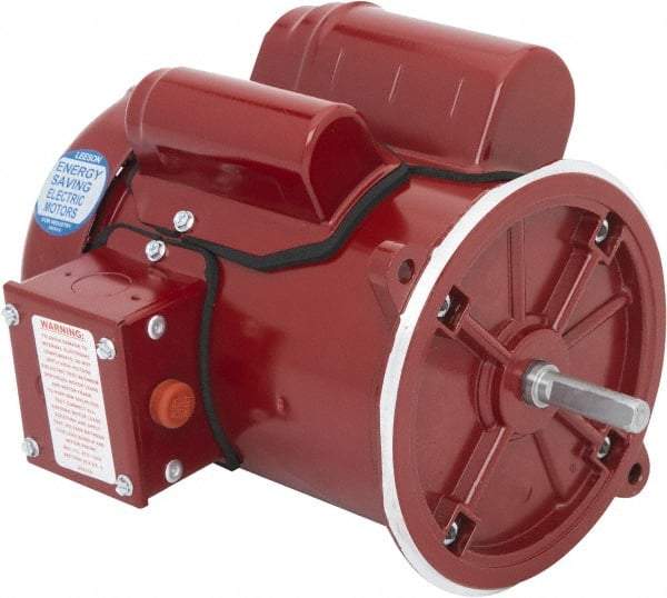 Leeson - 1/3 Max hp, 1,800 Max RPM, Feed-Auger Drive Electric AC DC Motor - 115/230 V Input, Single Phase, 48YZ Frame, 1/2" Shaft Diam, Special Mount, TEFC Enclosure - USA Tool & Supply