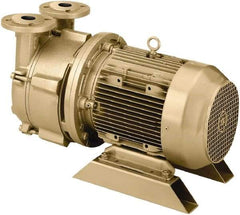 DEKKER Vacuum Technologies - 29 Hg Max, 2-1/2" ANSI 150# RF Flanged Inlet & Discharge, Single Stage Liquid Ring Vaccum Pump - 150 CFM, 10 hp, Cast Iron Housing, 316 Stainless Steel Impeller, 1,750 RPM, 230/460 Volts - USA Tool & Supply