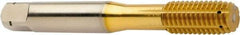 Sandvik Coromant - 2BX Form Thread Forming Tap - Powdered Metal High Speed Steel, 20mm Thread Length - USA Tool & Supply