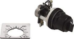 Square D - 2,000 Ohm, 30mm, 300 VAC Potentiometer - 2 Watts, Nonilluminated, Knob Operated, NEMA 4, 13 - USA Tool & Supply