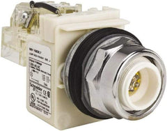 Schneider Electric - 120 VAC LED Indicating Light - Screw Clamp Connector - USA Tool & Supply