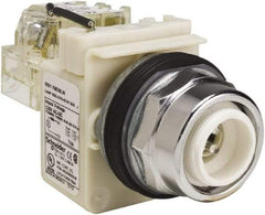 Schneider Electric - 120 VAC LED Indicating Light - Screw Clamp Connector - USA Tool & Supply