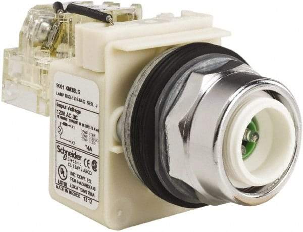 Schneider Electric - 120 VAC LED Indicating Light - Screw Clamp Connector - USA Tool & Supply