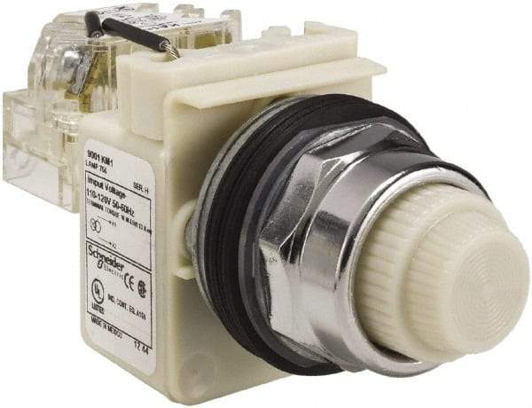 Schneider Electric - 120 VAC White Lens Indicating Light - Screw Clamp Connector - USA Tool & Supply