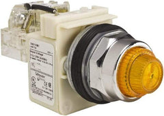 Schneider Electric - 120 VAC Amber Lens Indicating Light - Screw Clamp Connector - USA Tool & Supply
