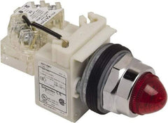 Schneider Electric - 120 VAC Red Lens Indicating Light - Screw Clamp Connector - USA Tool & Supply