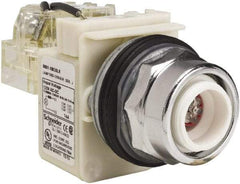 Schneider Electric - 120 VAC LED Indicating Light - Screw Clamp Connector - USA Tool & Supply