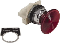 Schneider Electric - 1.18 Inch Mount Hole, Extended Straight, Pushbutton Switch Only - Round, Red Pushbutton, Illuminated, Maintained (MA), Weatherproof, Dust and Oil Resistant - USA Tool & Supply