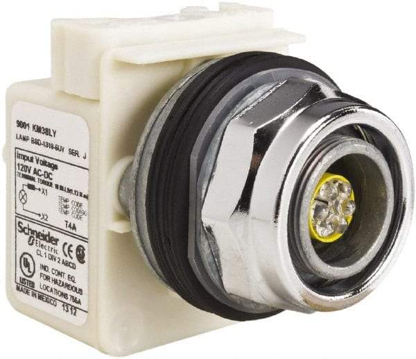 Schneider Electric - 120 V LED Indicating Light - Screw Clamp Connector - USA Tool & Supply