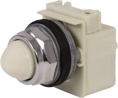 Schneider Electric - 120 VAC White Lens Indicating Light - Screw Clamp Connector - USA Tool & Supply