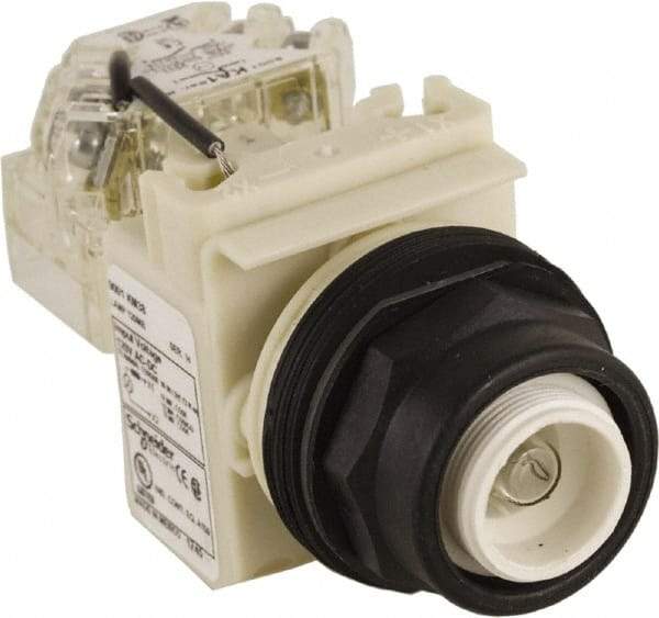 Schneider Electric - 120 V Press-to-Test Indicating Light - Round Lens, Screw Clamp Connector, Corrosion Resistant, Dust Resistant, Oil Resistant - USA Tool & Supply