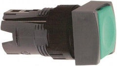 Schneider Electric - 16mm Mount Hole, Flush, Pushbutton Switch Only - Square, Green Pushbutton, Nonilluminated, Momentary (MO), Vibration Resistant - USA Tool & Supply