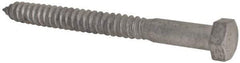 Value Collection - 3/4" Screw, 8" Length Under Head, Steel, Hex Head Lag Screw - Hot Dipped Galvanized, Grade 2 - USA Tool & Supply