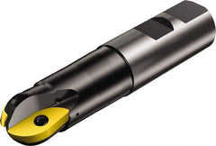 Sandvik Coromant - 1-1/4" Cut Diam, 1.114" Max Depth of Cut, 1-1/4" Shank Diam, 5.0311" OAL, Indexable Ball Nose End Mill - 5.0311" Head Length, Weldon Flat Shank, RA216.. M Toolholder, APMT 160408-M, RA216-32 06 Insert - USA Tool & Supply