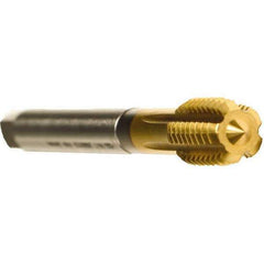 Emuge - 5/8-11 UNC 2BX Modified Bottoming Thread Forming Tap - Cobalt, TiN Finish, 4.331" OAL, 0.866" Thread Length, Right Hand Thread, Series Druck - USA Tool & Supply