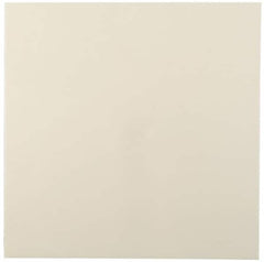 Made in USA - 2' x 24" x 1/2" Tan ABS Sheet - USA Tool & Supply