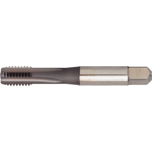 GT405033 M6X1 6HX STFL SBOTT - Exact Industrial Supply