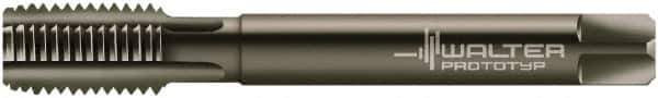 Walter-Prototyp - 3/4-16 UNF 2B 4 Flute Nitride/Oxide Finish Powdered Metal Straight Flute Machine Tap - Modified Bottoming, Right Hand Thread, 110mm OAL, 24mm Thread Length, Oversize - USA Tool & Supply