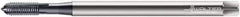 Walter-Prototyp - M8x1.25 Metric 4 Flute TiCN Finish Powdered Metal Hand Extension Tap - Modified Bottoming Chamfer, 7.0866" OAL, 6HX Class of Fit, Series E2031436 - USA Tool & Supply