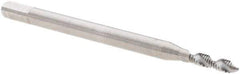 Walter-Prototyp - M1.6x0.35 Metric 2 Flute 6H Modified Bottoming Spiral Flute Tap - Cobalt, Bright Finish, 40mm OAL, Right Hand Flute, Right Hand Thread, Series N20516 - USA Tool & Supply