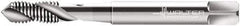 Walter-Prototyp - M2.5x0.45 Metric 2 Flute 6G Modified Bottoming Spiral Flute Tap - Cobalt, Bright Finish, 50mm OAL, Right Hand Flute, Right Hand Thread, Series N20536 - Exact Industrial Supply