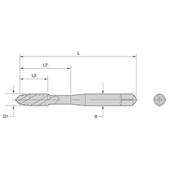 ‎16061 M5-0.8 HS G D4 3F PLUG FAST - USA Tool & Supply