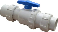 Little Giant Pumps - 2" PVC Check Valve - Inline, Union - USA Tool & Supply
