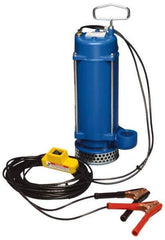 Warren Rupp - 1/3 hp, 12 VDC Amp Rating, 12 VDC Volts, Nonautomatic Operation, Dewatering Pump - Aluminum Housing - USA Tool & Supply