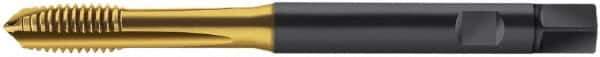 Walter-Prototyp - M3x0.50 Metric, 3 Flute, TiN Finish, Cobalt Spiral Point Tap - Plug Chamfer, Right Hand Thread, 70mm OAL, 5mm Thread Length, 6mm Shank Diam, 6HX Class of Fit, Series S2021305 - Exact Industrial Supply