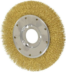 Osborn - 6" OD, 1-1/4" Arbor Hole, Crimped Brass Wheel Brush - 5/8" Face Width, 1-1/8" Trim Length, 0.014" Filament Diam, 6,000 RPM - USA Tool & Supply