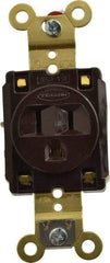 Hubbell Wiring Device-Kellems - 125 VAC, 15 Amp, 5-15R NEMA Configuration, Brown, Specification Grade, Self Grounding Single Receptacle - 1 Phase, 2 Poles, 3 Wire, Flush Mount, Corrosion, Heat and Impact Resistant - USA Tool & Supply