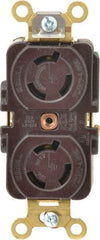 Hubbell Wiring Device-Kellems - 250 VAC, 15 Amp, L6-15R NEMA, Self Grounding Receptacle - 2 Poles, 3 Wire, Female End, Brown - USA Tool & Supply