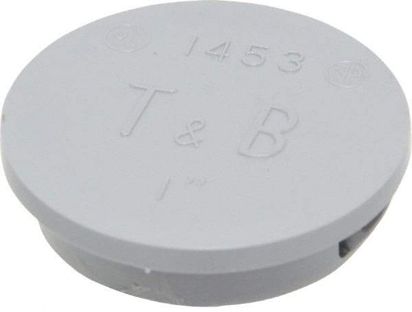 Thomas & Betts - 1" Conduit, Electrical Enclosure Thermoplastic Knockout Plug - For Use with Rigid/IMC Conduit, CSA File 4484/CSA LR589/NFPA 70/RoHS Compliant/UL 514B/UL File E13938 - USA Tool & Supply